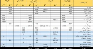 أستخدام ورقة العمل